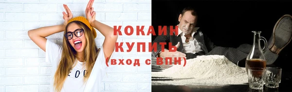 сатива Надым