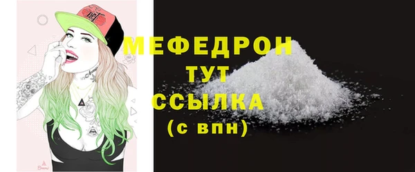 прущие грибы Новозыбков
