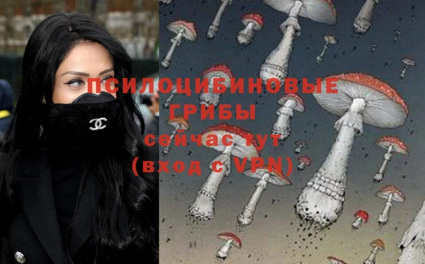 а пвп мука Нея