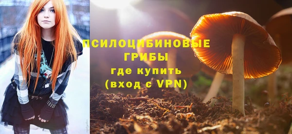 а пвп мука Нея