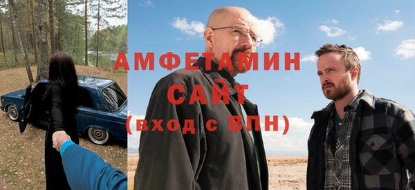 прущие грибы Новозыбков