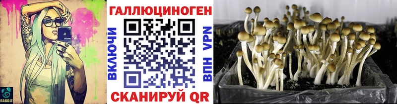 сайты даркнета формула  Лакинск  Псилоцибиновые грибы MAGIC MUSHROOMS 